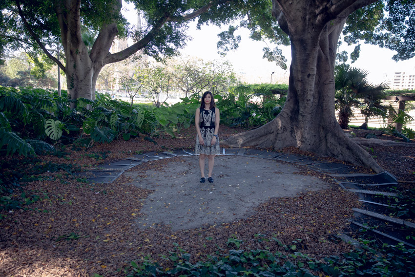 A woman standing in a circle-shaped area of concrete at the base of a large tree trunk. The area is bordered by a series of metal grates and covered in fallen brown leaves. There is some greenery in the background.