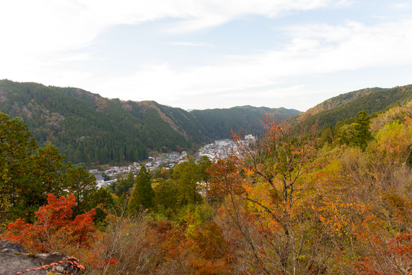 Trees with red and yellow leaves in the foreground, with a view of the city of Gujo