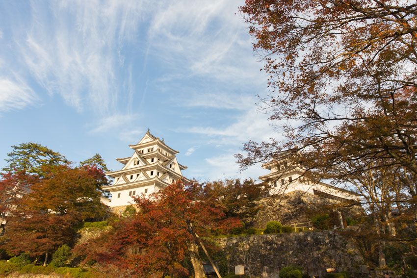 The top of Gujo-Hachiman castle with some autumn trees in view