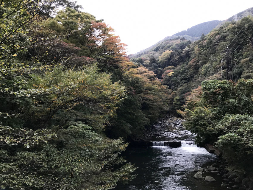 A view of the greenery around some of Hakone, with a river below waterways