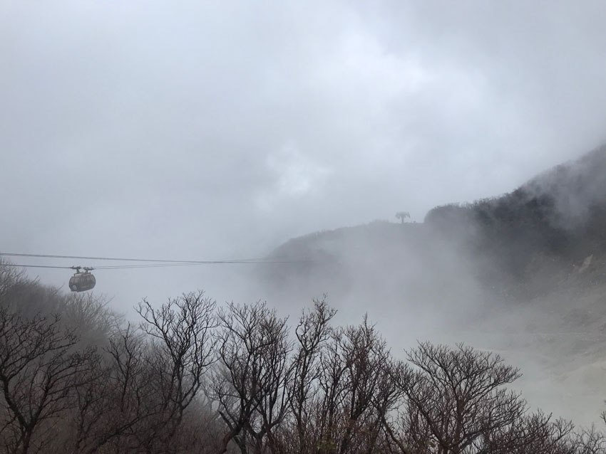 The foggy view of Hakone, with withered trees in the foreground