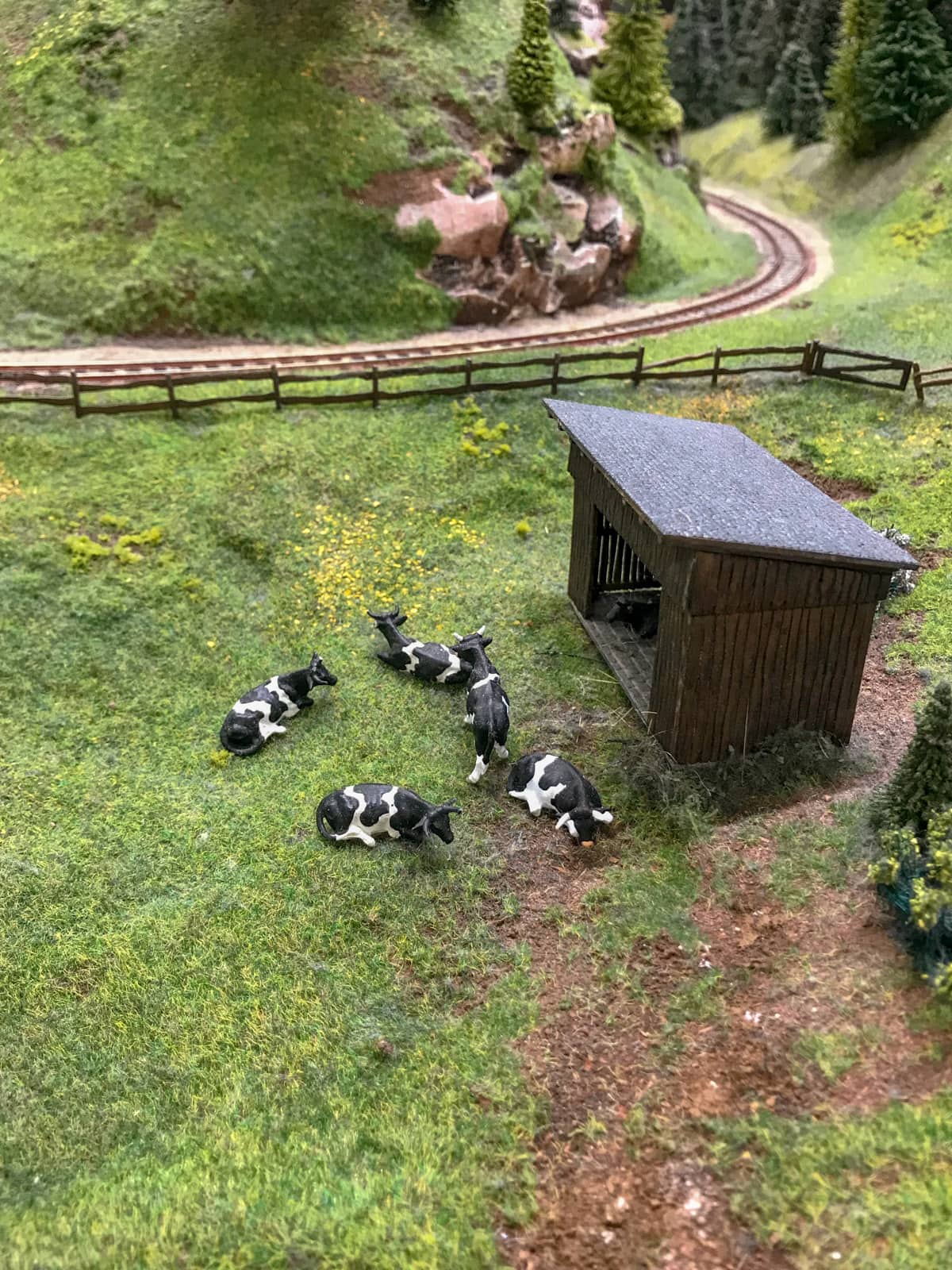 A close-up view of some black and white model cows on grass, part of a miniature model railway.