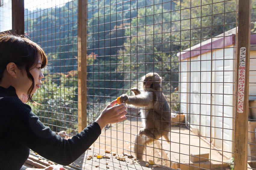 A girl holding a piece of food out to a monkey through the cage