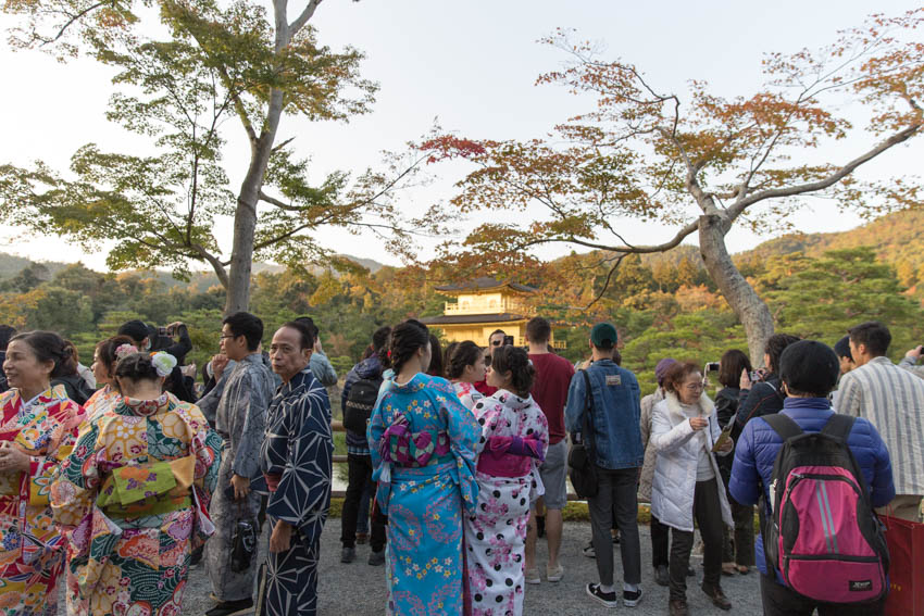Some girls dressed in colourful yukata (Japanese traditional dress) with the golden pavilion in the background