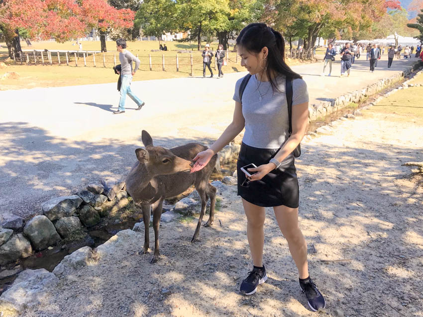 Me holding my (empty) hand out to a deer, who is nibbling at it