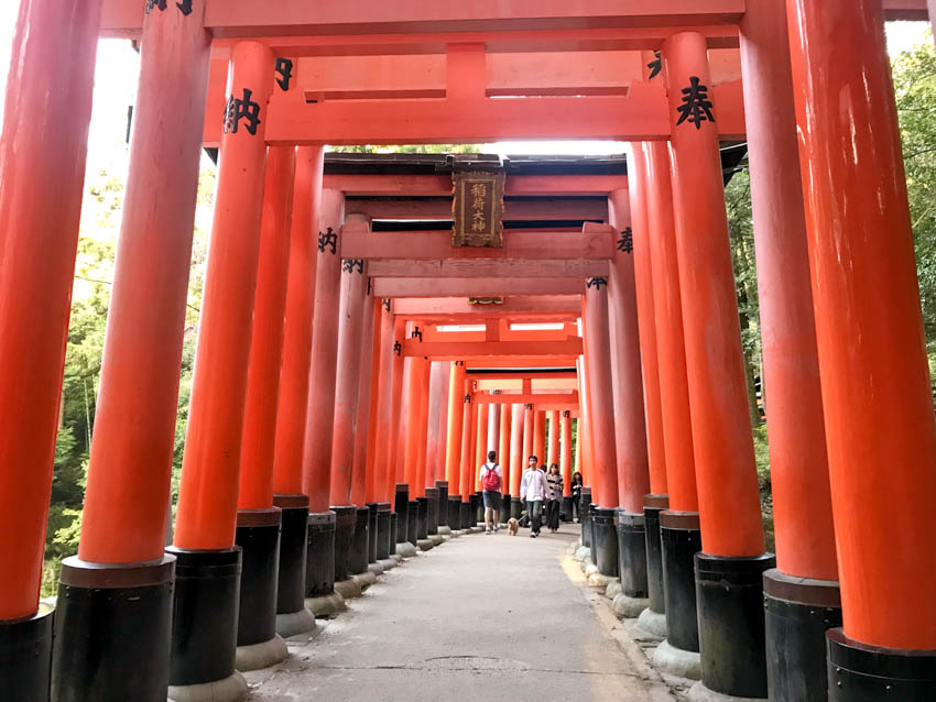 Some of the torii gates at Fushimi Inari-Taisha