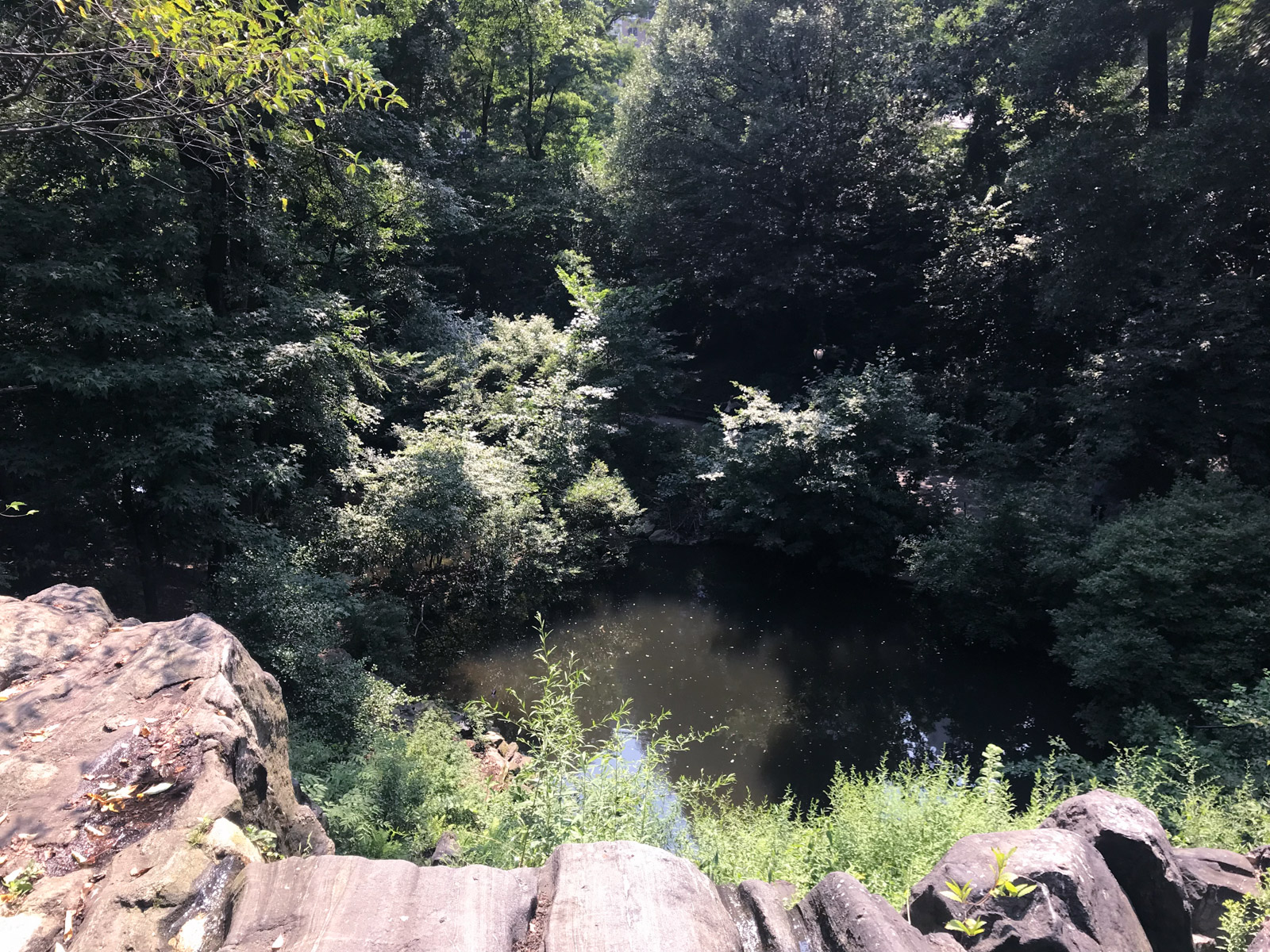 A pond as seen from the edge of a small cliff. Surrounding the water are many trees