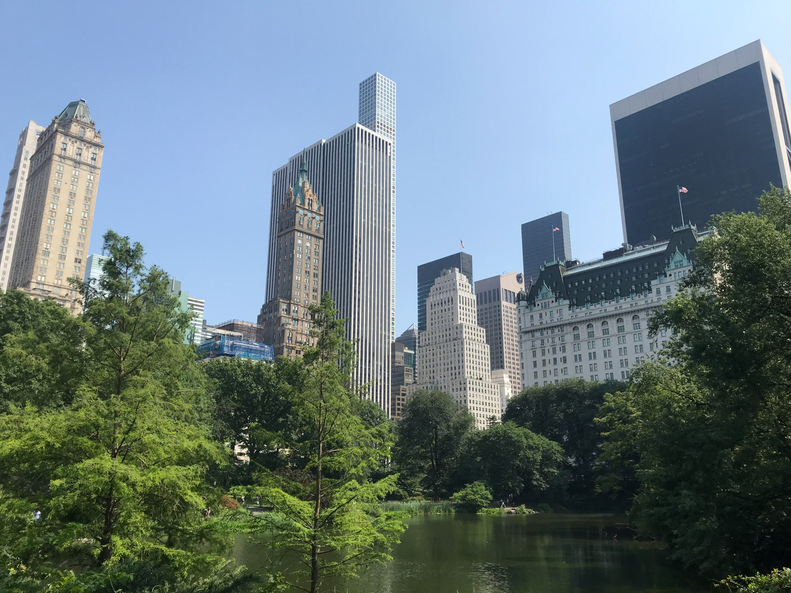 The view of the inside of a park, with lots of very green trees and a big lake. In the background behind the park’s bounds are skyscrapers