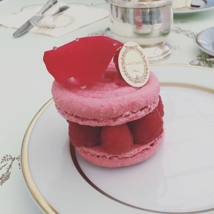 Large rose flavoured macaron with fresh raspberries inside