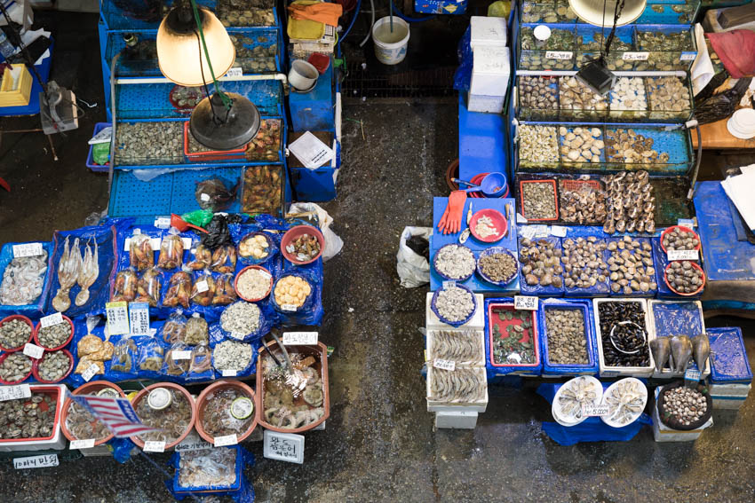 A view of the fish market from above