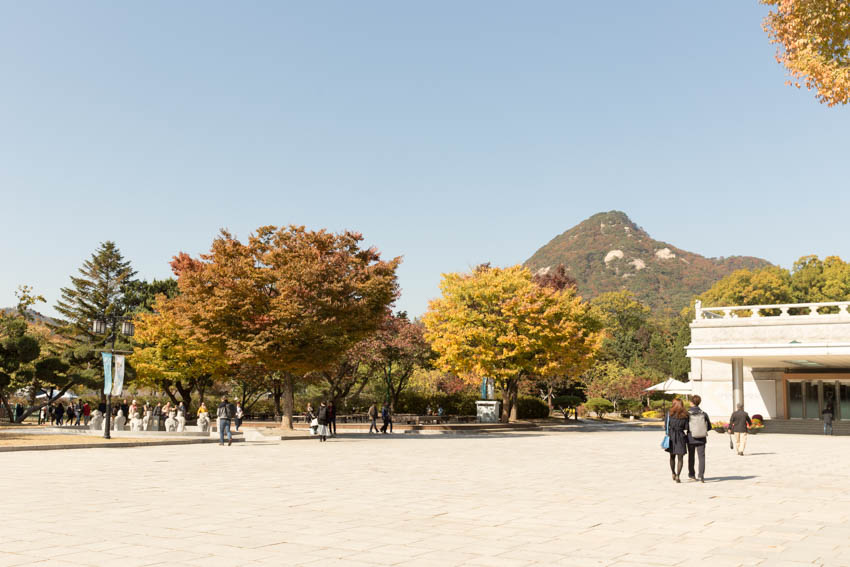 Wide view of the walkway with mountains in the background and trees in the foreground
