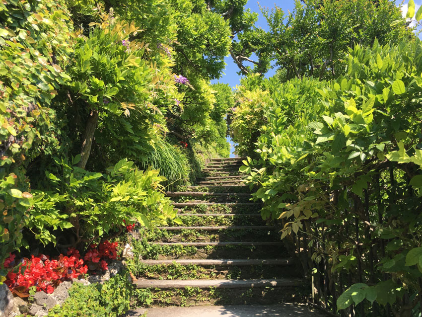 A set of stairs at the villa, covered by a lot of bright foliage