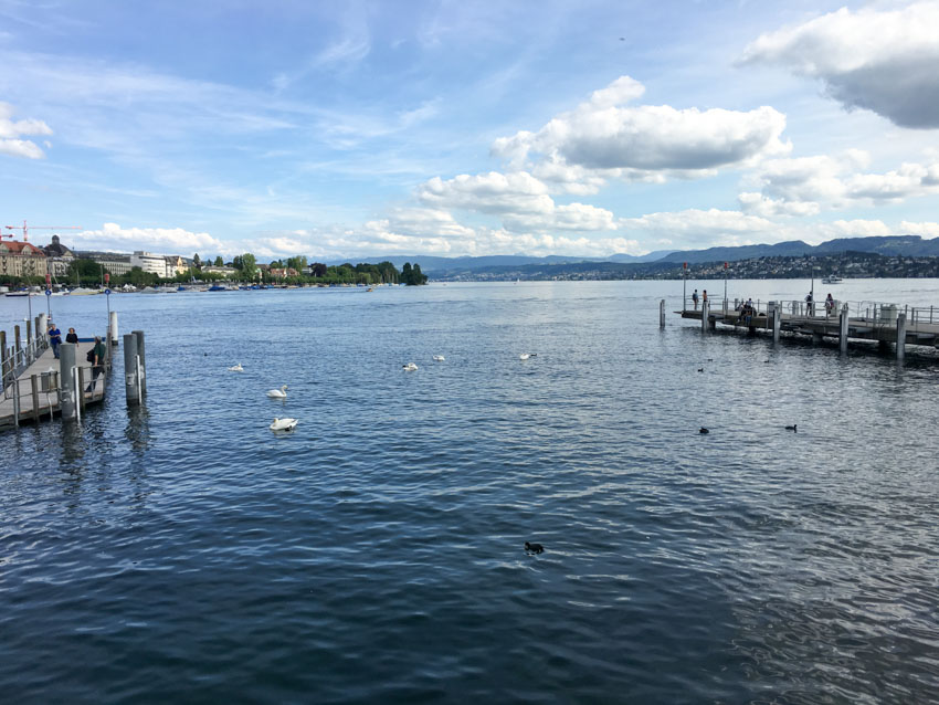 Some swans and part of the pier in Zurich