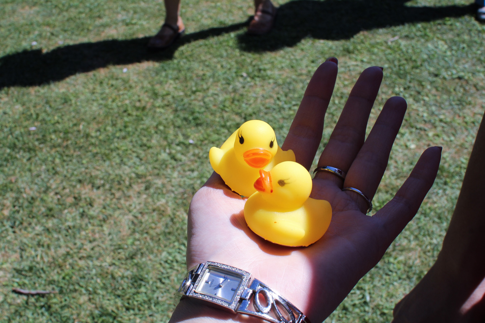 They gave out free squeaky ducks. Apparently the mascot was for a musical.