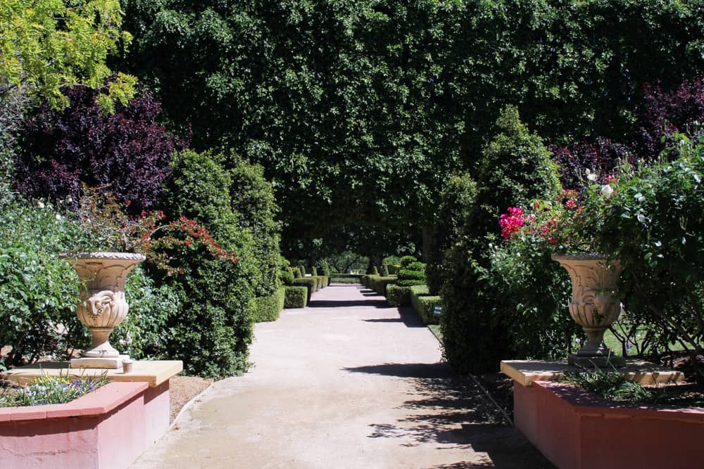 Pathway through a garden