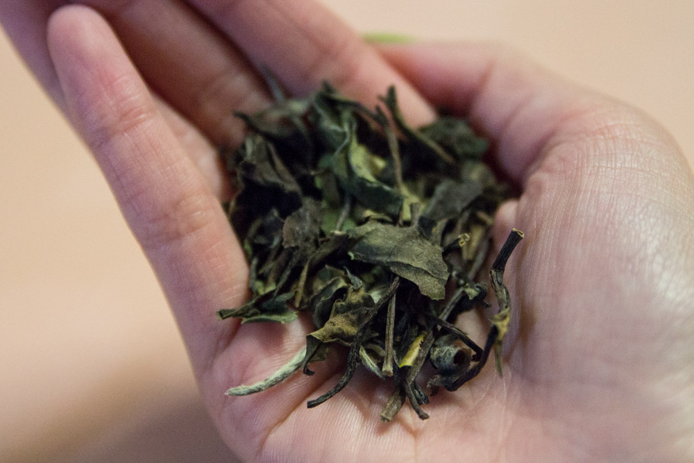 Shou Mei White tea