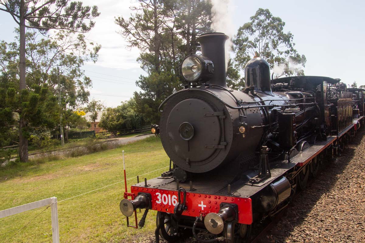 3016 locomotive from Canberra Railway Museum