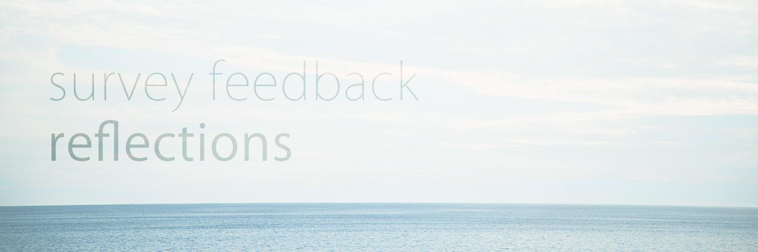Survey feedback reflections