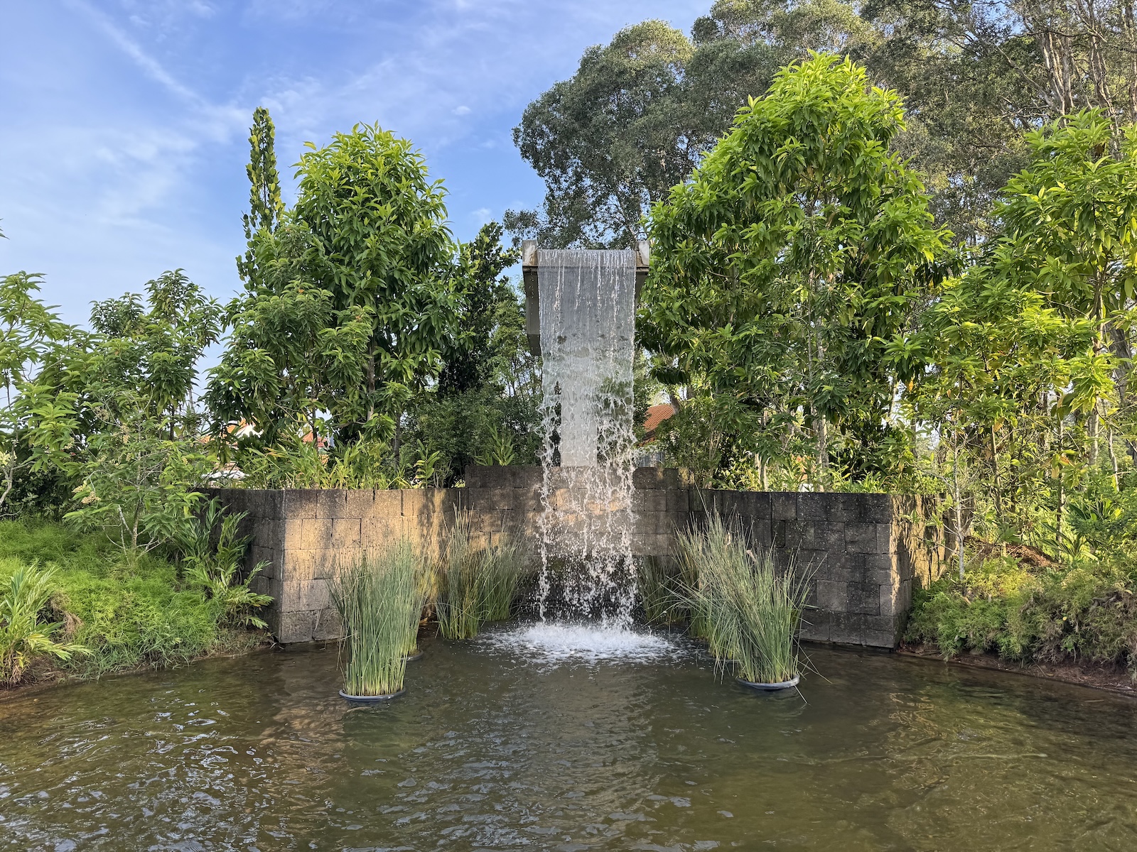 Garden waterfall flowing into a pond, surrounded by lush trees and aquatic plants.