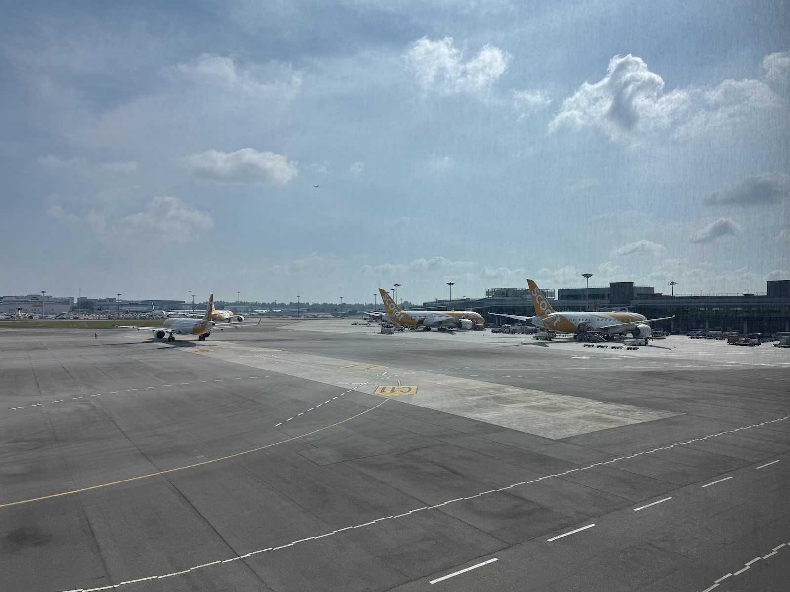 An airport tarmac with about four white and yellow branded Scoot planes on standby. The sky is a pale blue colour