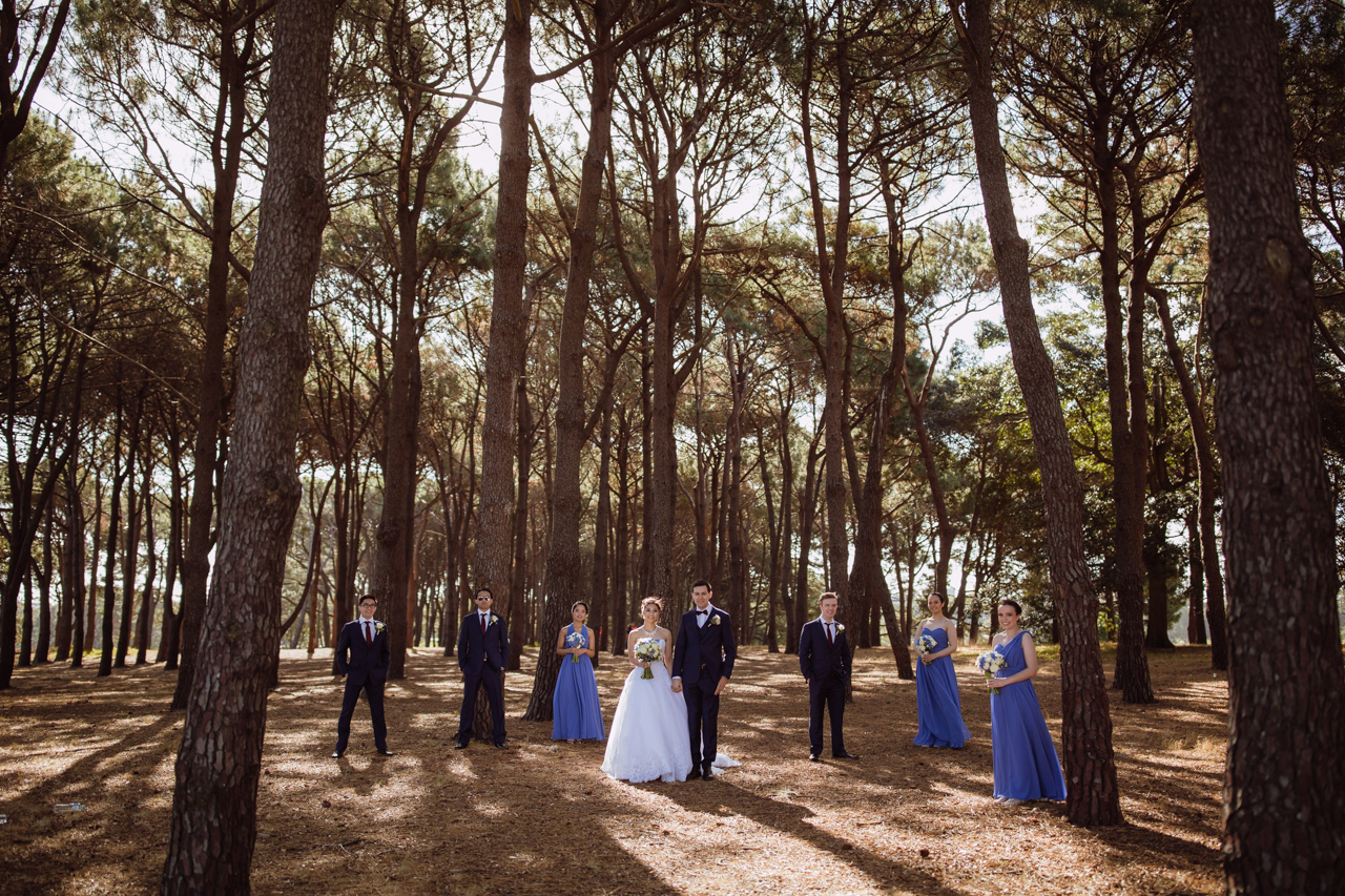 A bride and groom and their bridal party scattered throughout an area of tall trees