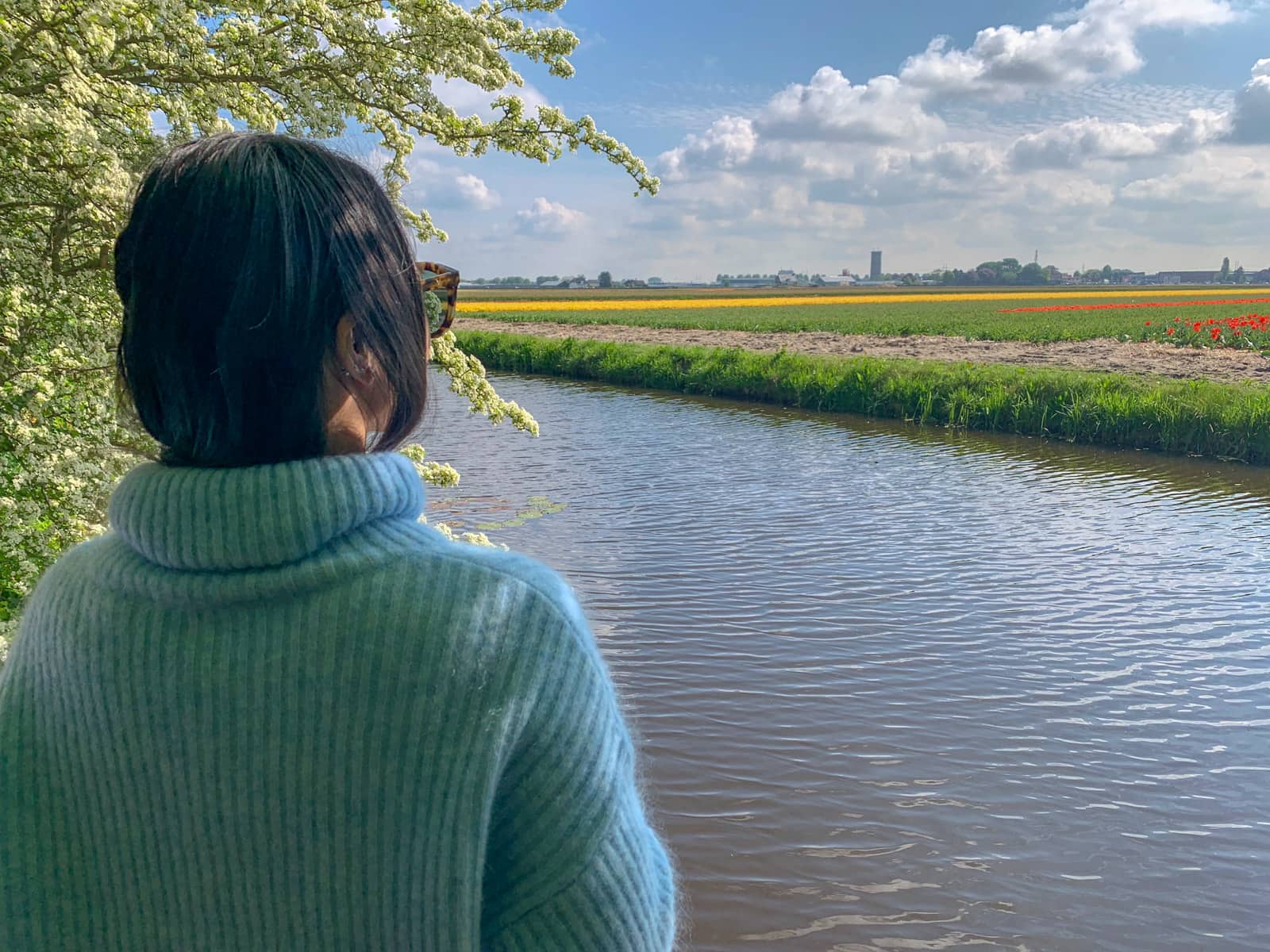 A woman with dark hair, wearing a blue sweater, facing away from the camera and looking out over a small river and towards fields of red, yellow and pink tulips