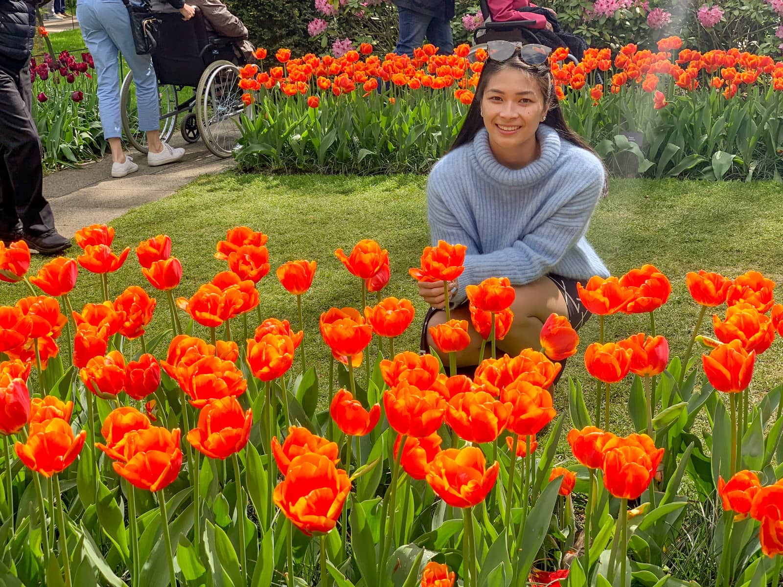 A woman wearing a blue sweater crouching behind several rows of planted orange tulips.