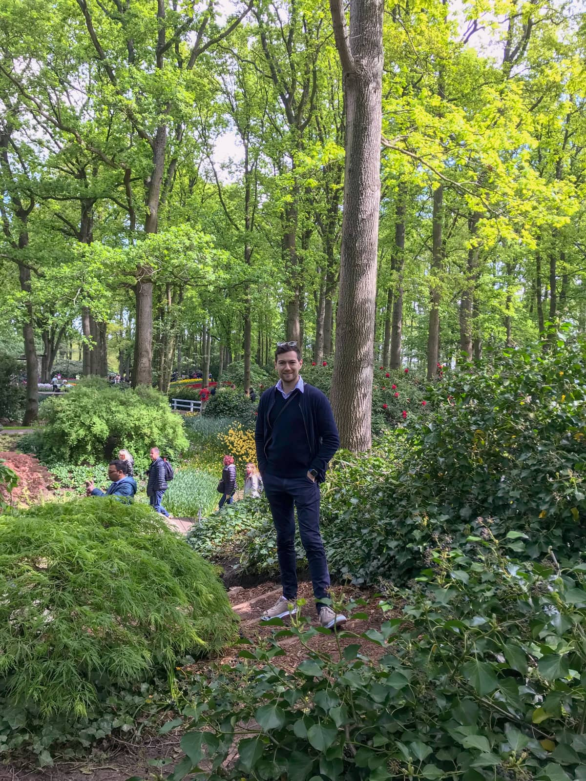 A man dressed in dark blue with his hands in his pockets, standing in a garden with a makeshift dirt path. There are many trees with tall trunks in the garden.