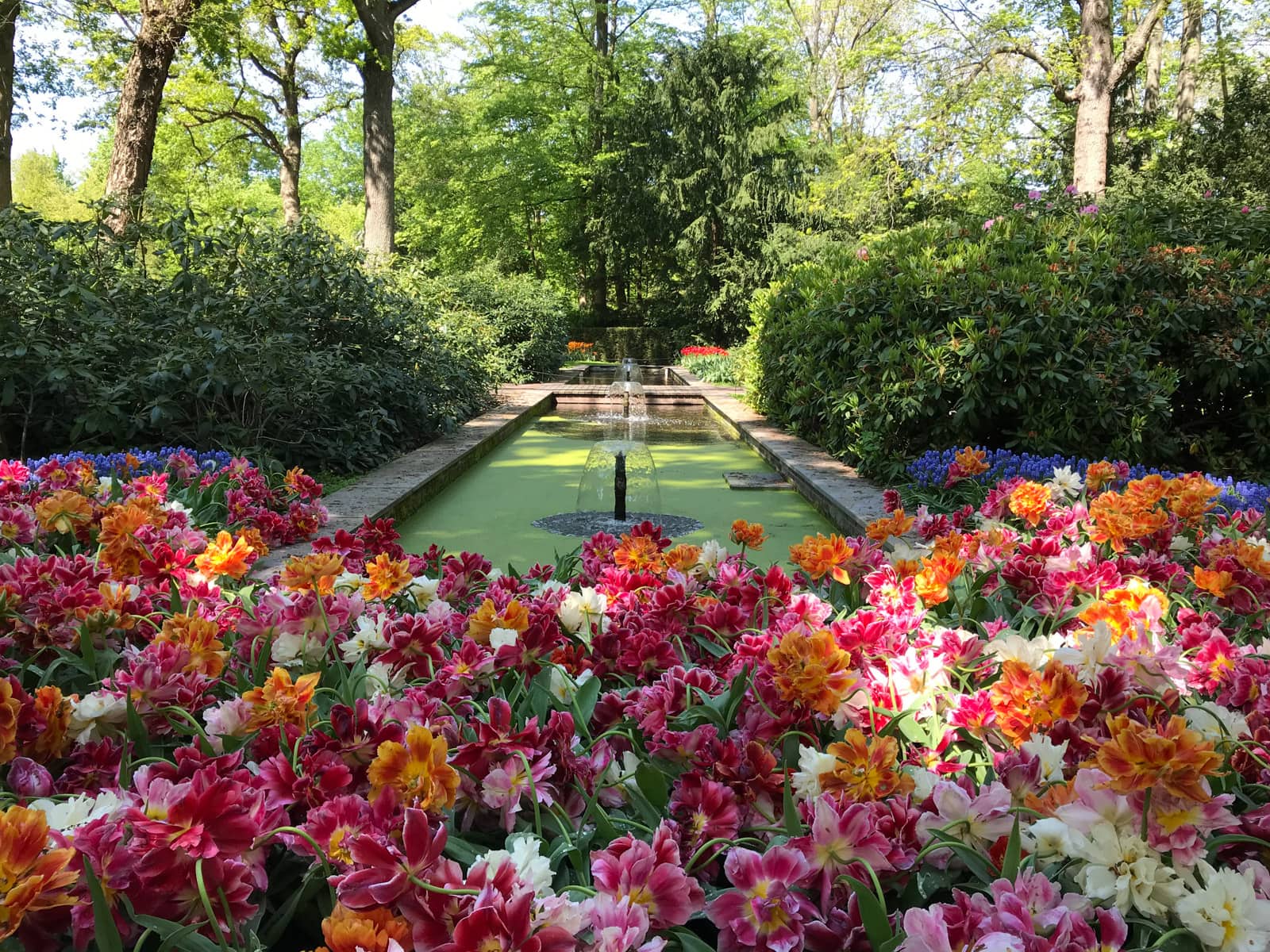 An arrangement of flowers in the foreground, in front of several small water fountains leading into the background, all sitting on a green lawn bordered by short stone walls