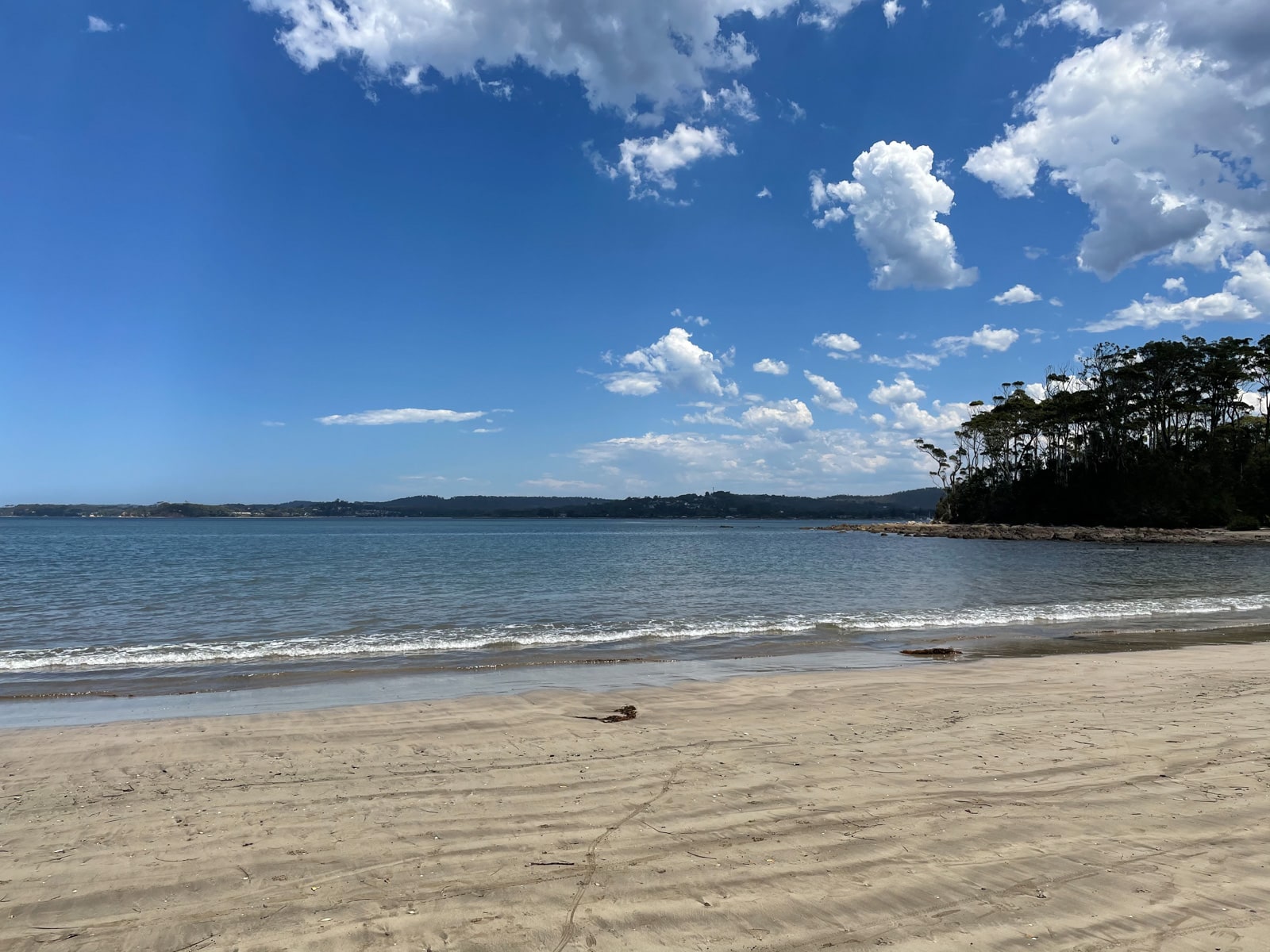 A lightly coloured dirt beach at very low tide