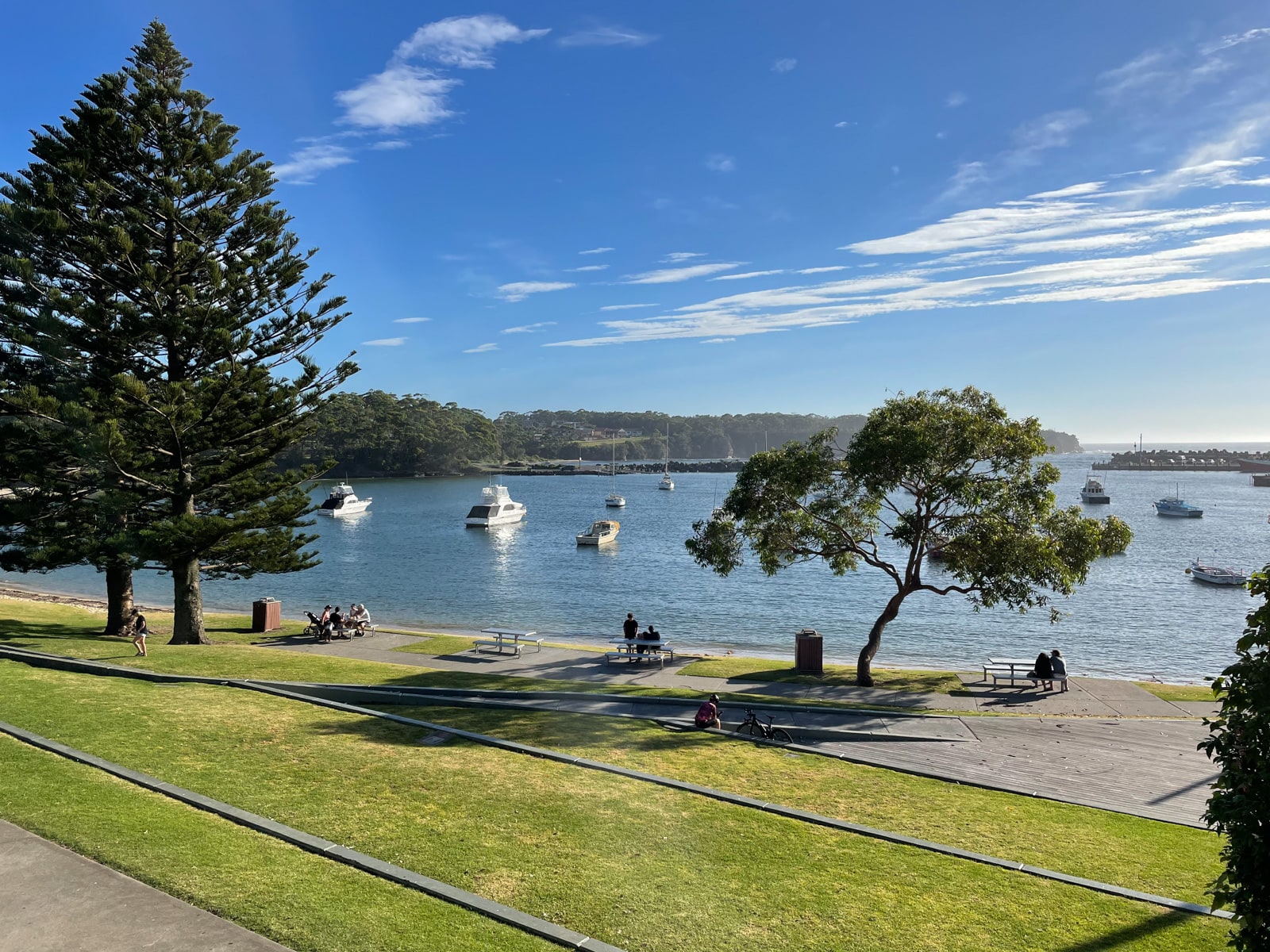 An early morning view of a lake with some boats on it. The sky is bright blue. In the foreground are big concrete steps lined with grass. There are some large trees on the bank