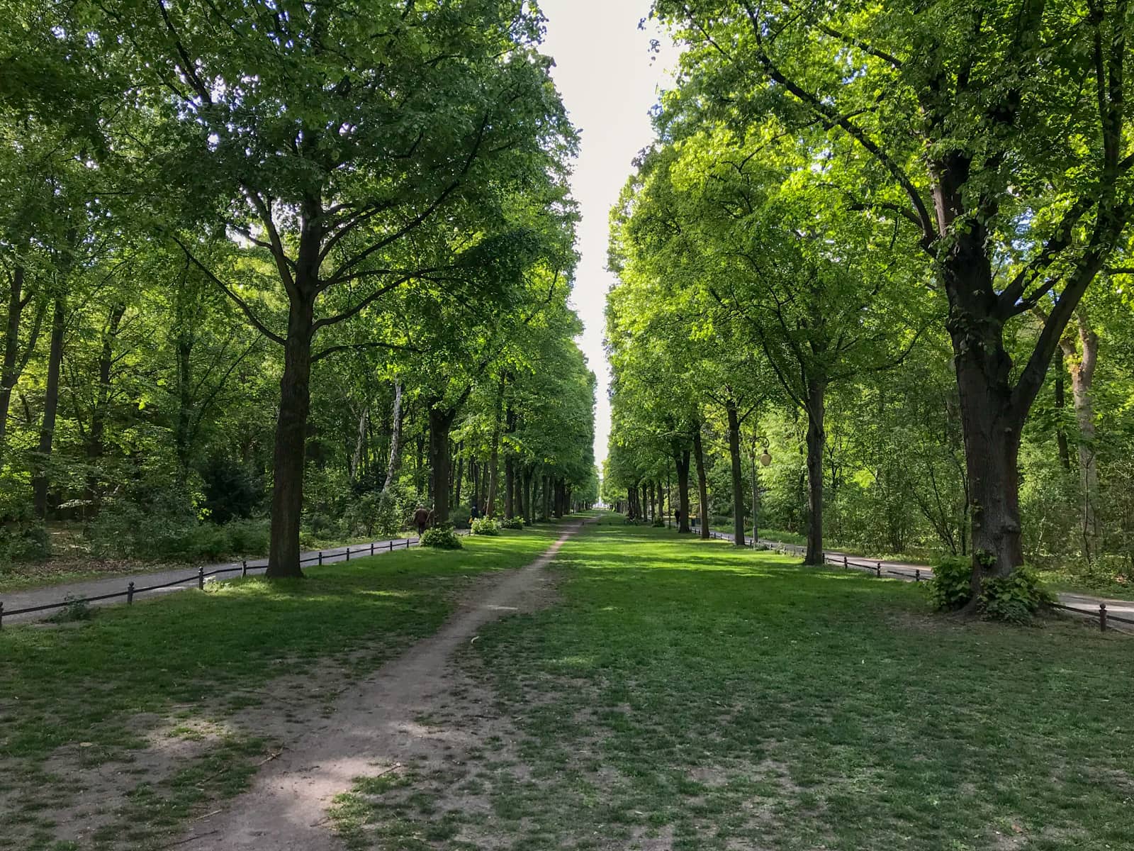 The inside of a park, looking like a forest, with a dirt path leading into the distance