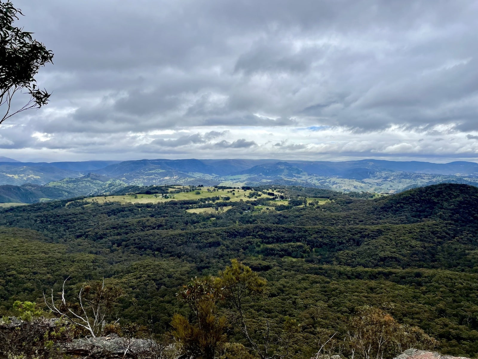 A view of some grassy valleys and many trees from a high vantage point. The sky is quite cloudy
