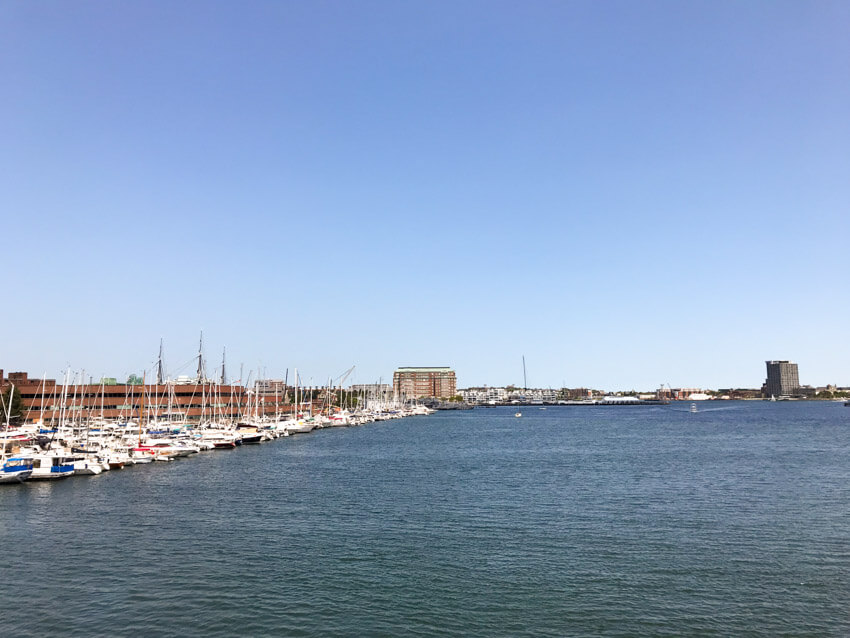 A daytime photo of a river, with a harbour of boats to the left