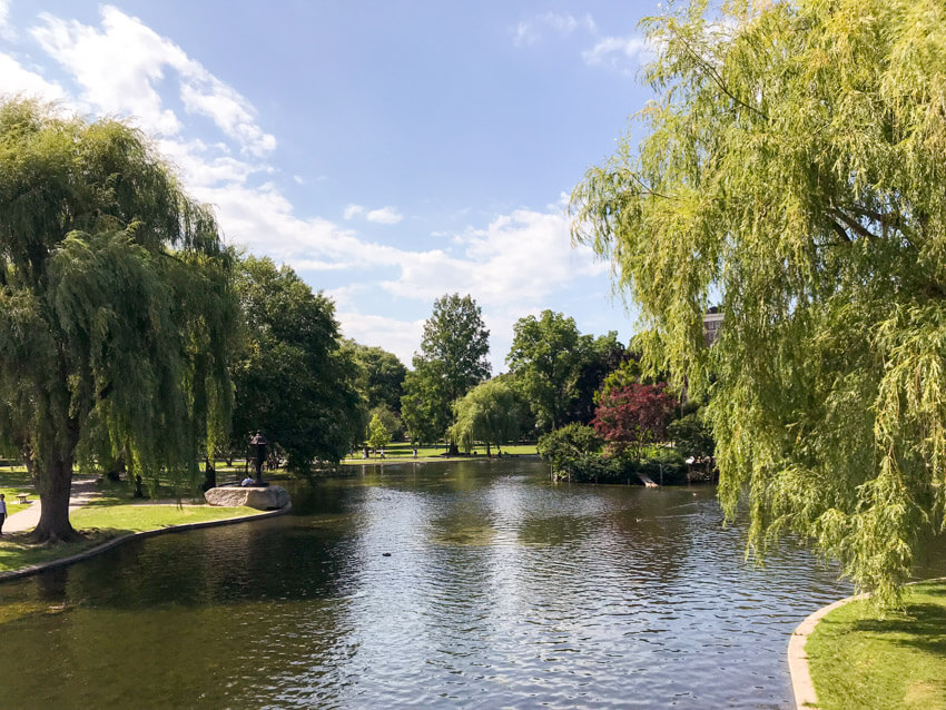 A large lake inside of a park with many weeping willow trees. One small tree with red leaves can be seen