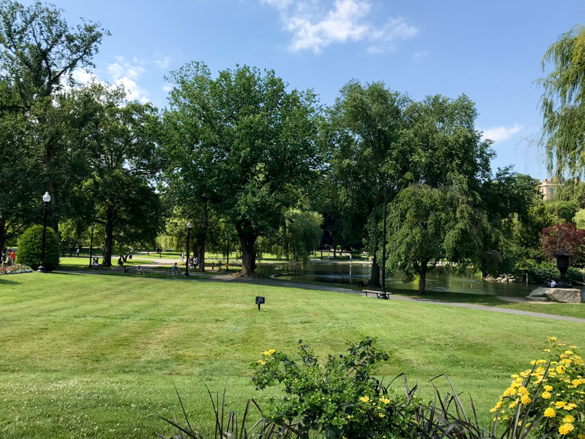 A mowed, flat green grass area in a park. In the distance are large green trees and a pond. Some people can be seen sitting on benches.