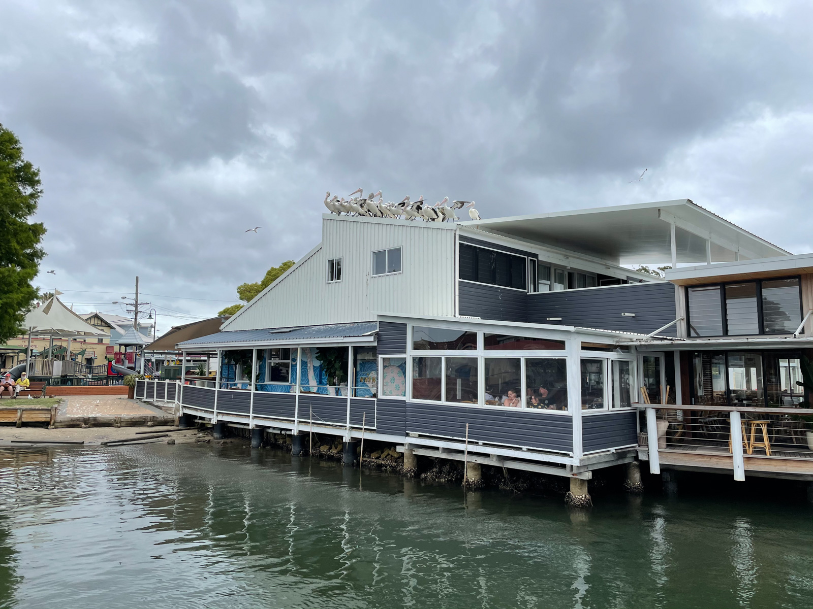 A fish and chip shop on the water, with many pelicans perched on the roof. The sky is grey and cloudy.