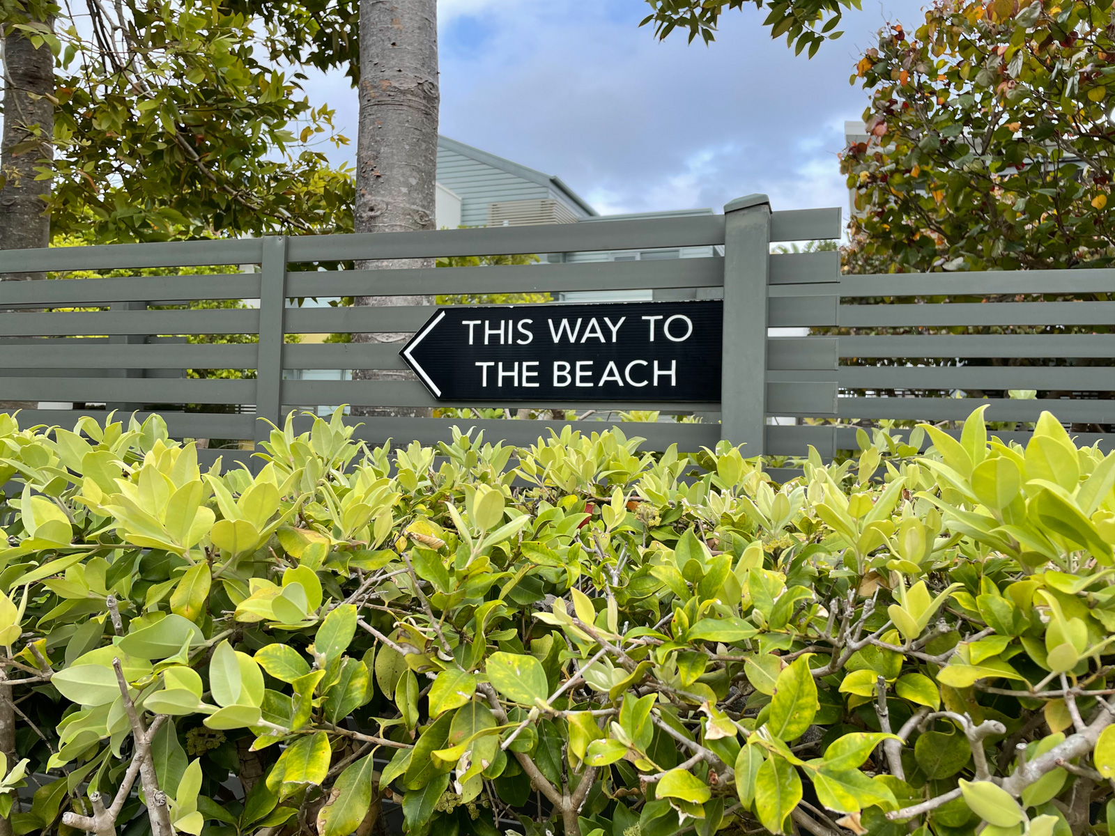 A hedge in front of an olive green painted wooden fence, with a black sign on it with an arrow and text reading, “This way to the beach”.