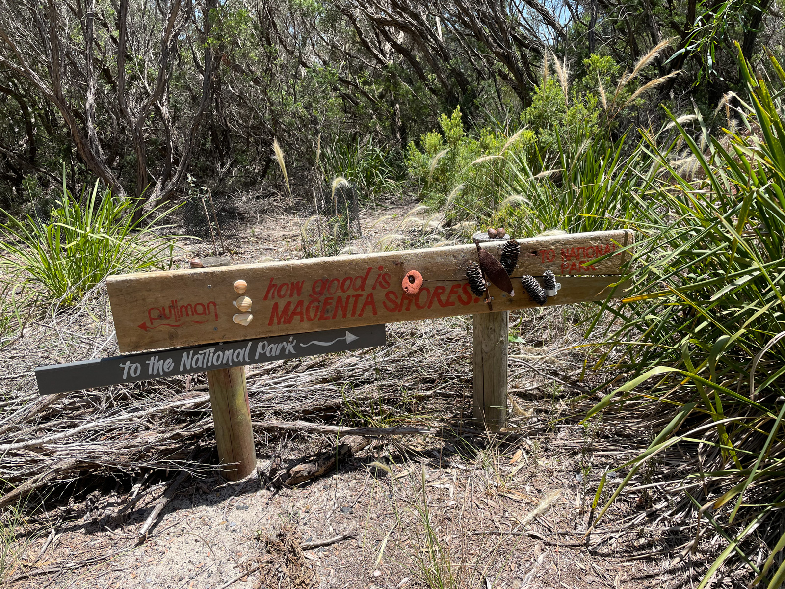 A wooden sign low to the ground, reading “How good is Magenta Shores”, and an additional wooden panel reading “to the National Park” with an arrow