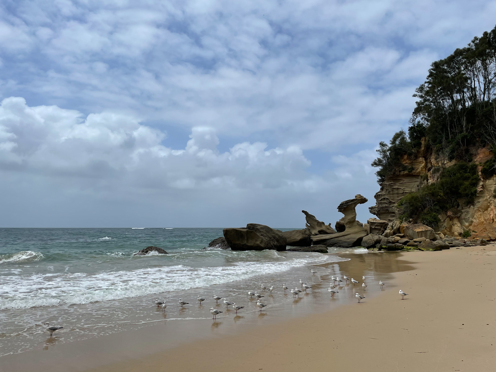 A view of a beach with some interesting rock formations on the shore. In the foreground, many seagulls stand near the water.