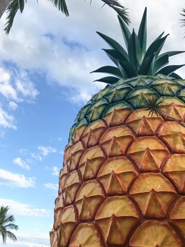 The Big Pineapple in Queensland up close