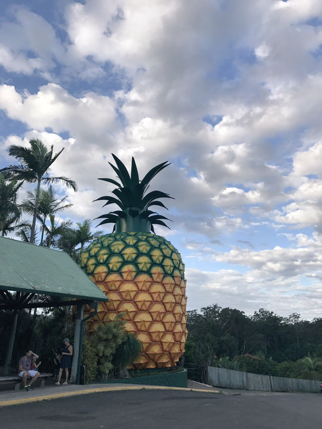 Another view of the Big Pineapple