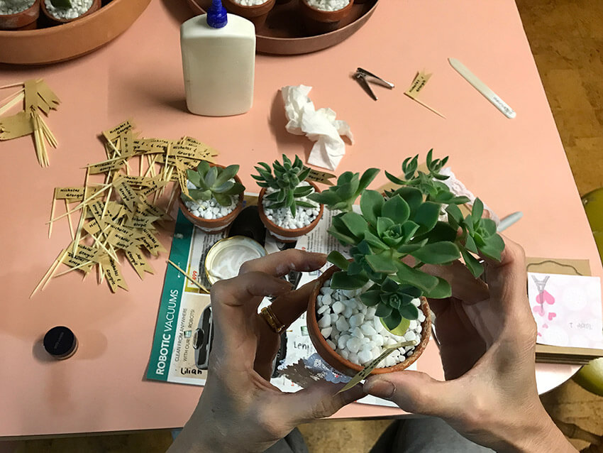 A birds-eye view of a woman’s hands holding a terracotta pot with a succulent in it. In the background is a table with an old brochure with glue nearby.