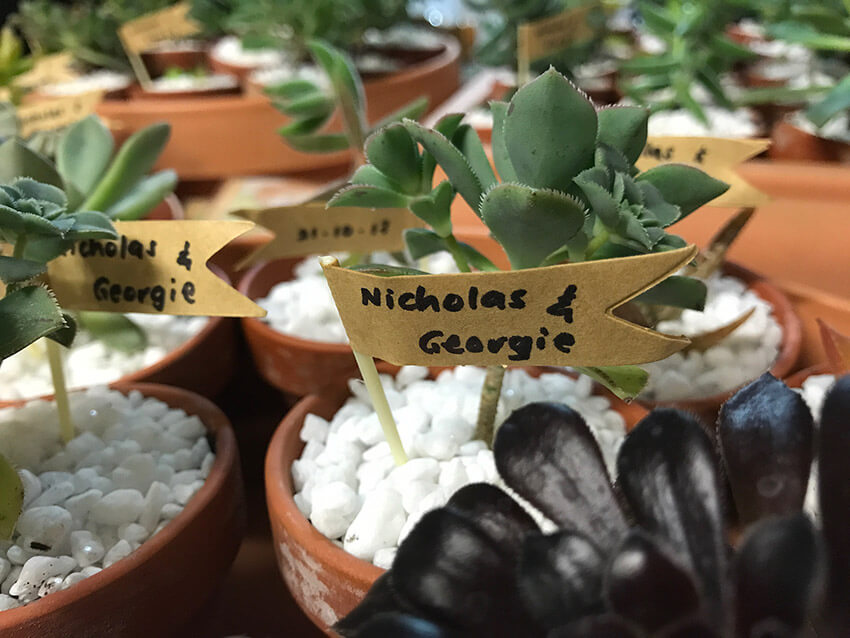 A close-up of a flag in a pot, the flag reads “Nicholas & Georgie”