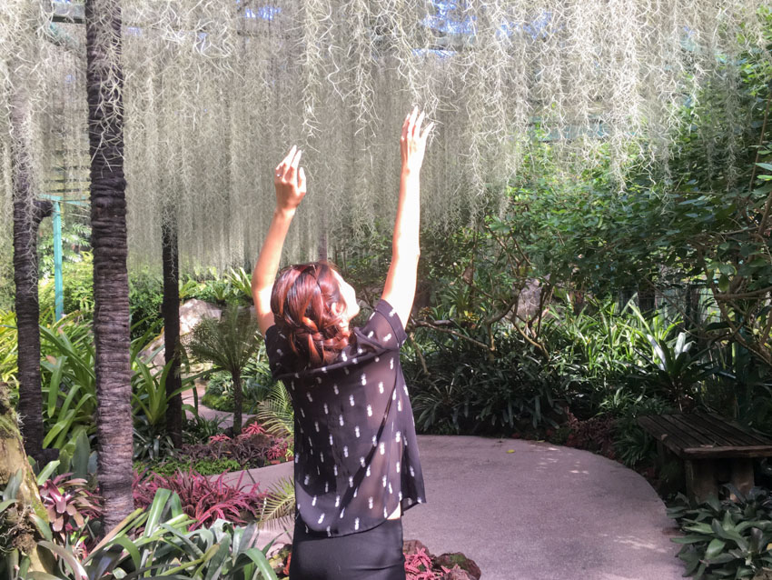 Back view of me reaching for some dangling wispy tree leaves