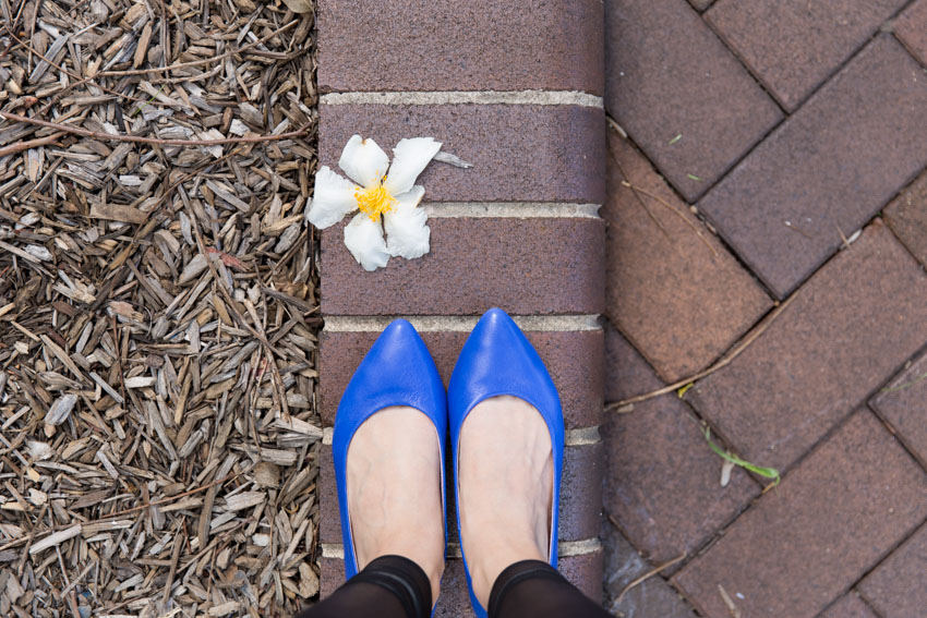 Close up of my shoes from my view with a tattered white flower nearby