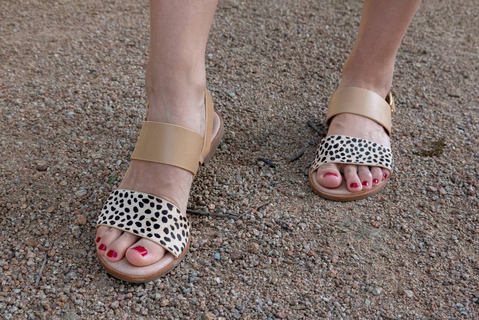 Close up of a woman’s feet, wearing tan sandals with a strap that has animal print. Her toenails are painted in a dark magenta shade.