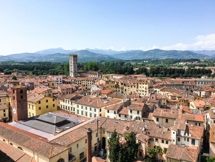 Lucca from the top of the Guinigi Tower