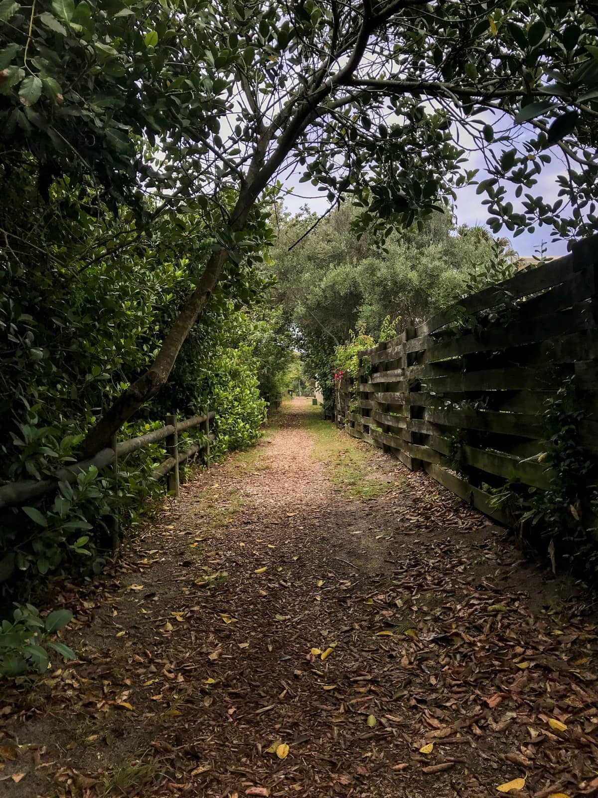 A dirt pathway with some trees providing shade. Leaves are scattered over the path. One the right is a high fence made of wood; on the left is a shorter one made from round logs.