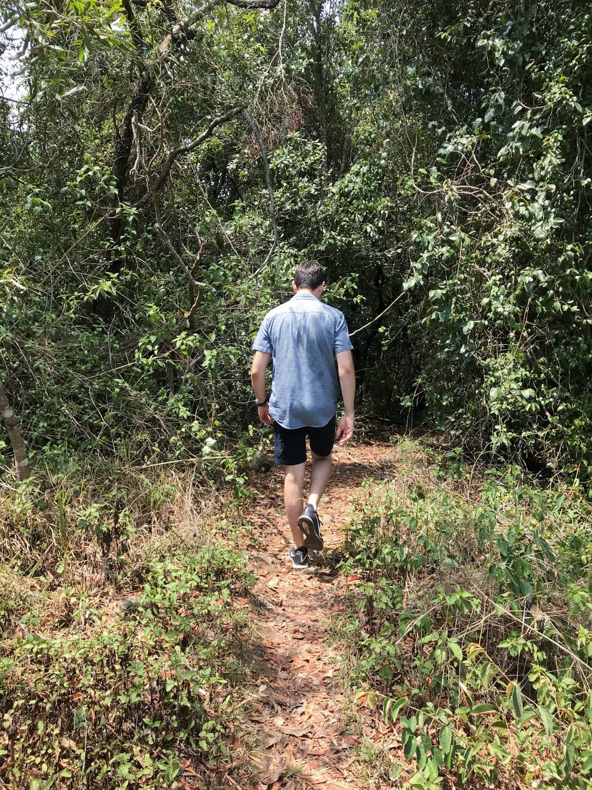 A man from behind, wearing a blue shirt and dark shorts. He is walking down a path into a bush